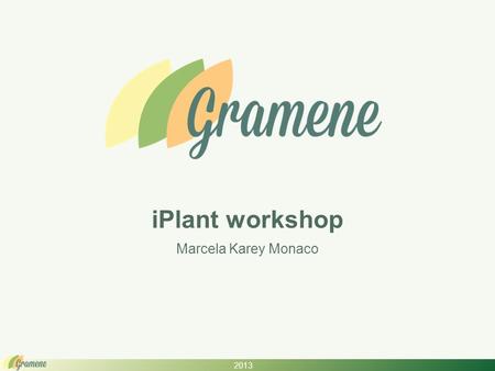 2013 iPlant workshop Marcela Karey Monaco. 2013 What is Gramene? An integrated plant reference genome resource Comparative genomics hub of data & tools.
