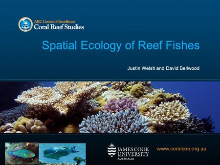 Spatial Ecology of Reef Fishes Justin Welsh and David Bellwood.