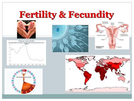 Fertility & Fecundity. Technology allows us to control reproduction…. This is more than just the pill and condoms Cultural and Geographic variations &