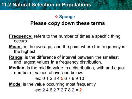 11.2 Natural Selection in Populations Sponge Please copy down these terms Frequency: refers to the number of times a specific thing occurs Mean: is the.