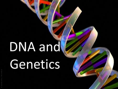 DNA and Genetics.