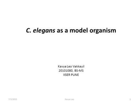 C. elegans as a model organism
