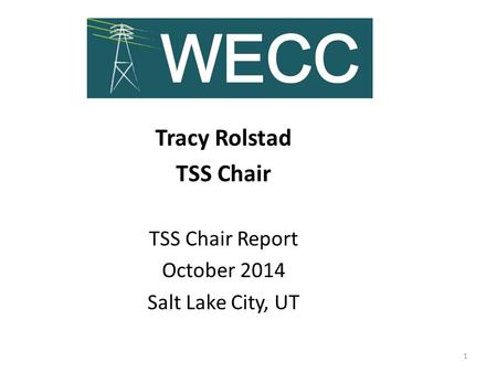 Tracy Rolstad TSS Chair TSS Chair Report October 2014 Salt Lake City, UT 1.