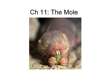 Ch 11: The Mole.