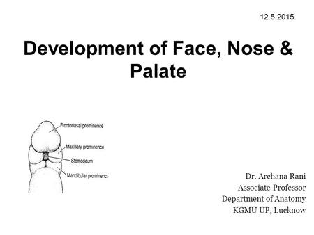 Development of Face, Nose & Palate