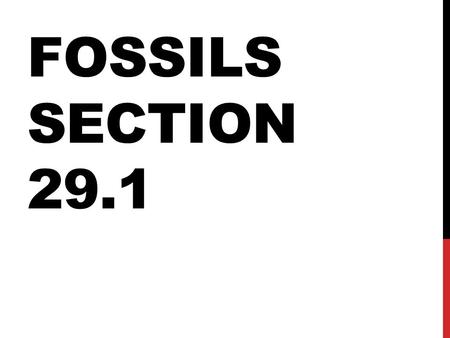 Fossils Section 29.1.