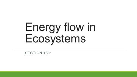 Energy flow in Ecosystems