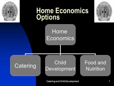 Catering and Child Development1 Home Economics Options Home Economics Catering Child Development Food and Nutrition.