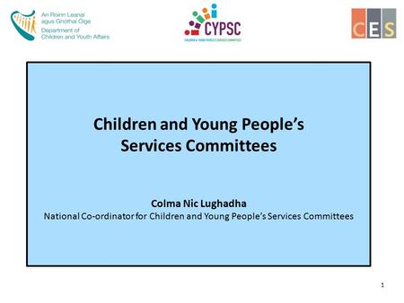 Children and Young People’s Services Committees Colma Nic Lughadha National Co-ordinator for Children and Young People’s Services Committees 1.