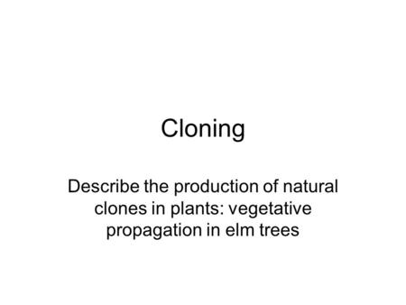 Cloning Describe the production of natural clones in plants: vegetative propagation in elm trees.