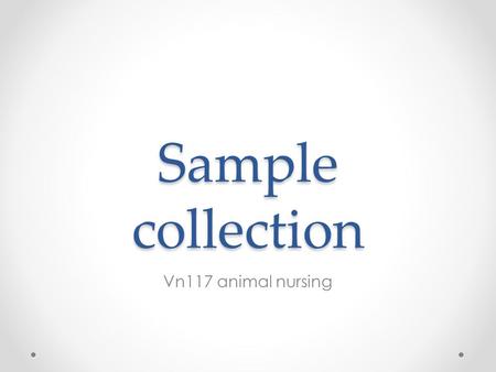 Sample collection Vn117 animal nursing. The nurses role Collection of samples from the animal Storage, packaging, labelling and paper work for referral.