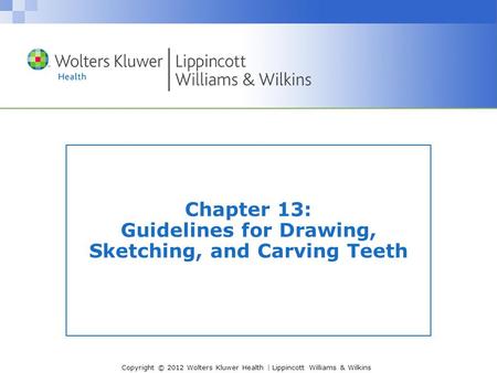Chapter 13: Guidelines for Drawing, Sketching, and Carving Teeth