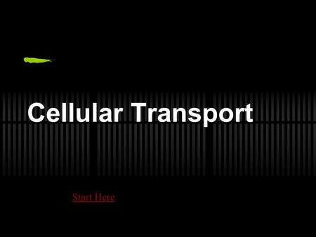 Cellular Transport Start Here. Transport Factors (Types) 1. Passive Transport a) Diffusion b) Osmosis 2. Active Transport a) Carrier Proteins b) Endocytosis.