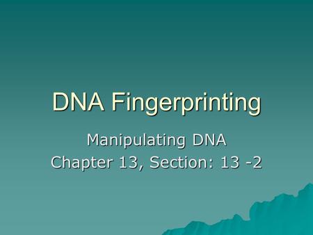 Manipulating DNA Chapter 13, Section: 13 -2