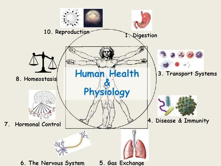 Human Health & Physiology 1. Digestion 3. Transport Systems 4. Disease & Immunity 5. Gas Exchange6. The Nervous System 7. Hormonal Control 8. Homeostasis.