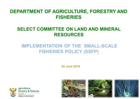 SELECT COMMITTEE ON LAND AND MINERAL RESOURCES IMPLEMENTATION OF THE SMALL-SCALE FISHERIES POLICY (SSFP) 23 June 2015 DEPARTMENT OF AGRICULTURE, FORESTRY.
