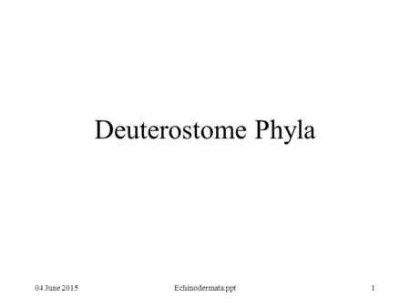 04 June 2015Echinodermata.ppt1 Deuterostome Phyla.