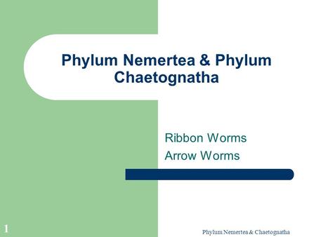 Phylum Nemertea & Phylum Chaetognatha