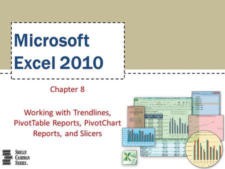 Microsoft Excel 2010 Chapter 8