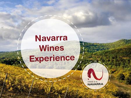 Welcome to Navarra Among the oldest Spanish wine DO, created in 1933. 11.400 hectares (28,417 acres), which is 1,2% of the total Spain´s vineyard surface.