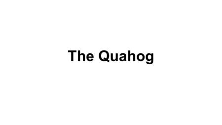 The Quahog. Chemistry Quahog ●the southern quahog seems to prefer the oceanic water. ●they like to gather near inlets and in offshore habitats ●grows.