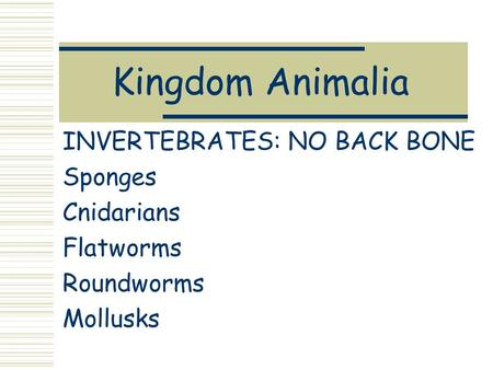 Kingdom Animalia INVERTEBRATES: NO BACK BONE Sponges Cnidarians Flatworms Roundworms Mollusks.