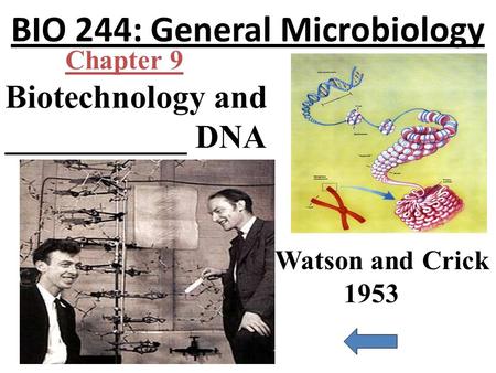 BIO 244: General Microbiology Biotechnology and ___________ DNA Chapter 9 Watson and Crick 1953.