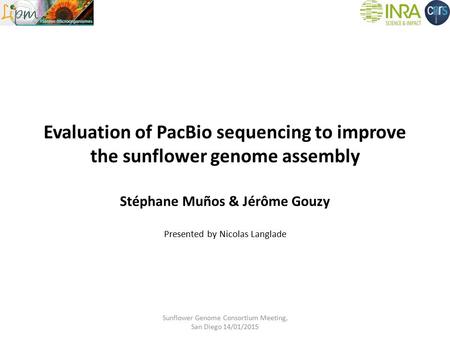 Evaluation of PacBio sequencing to improve the sunflower genome assembly Stéphane Muños & Jérôme Gouzy Presented by Nicolas Langlade Sunflower Genome Consortium.