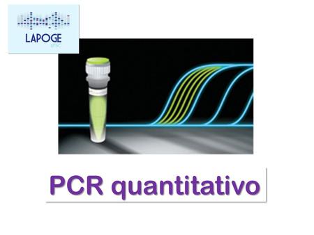 PCR quantitativo.