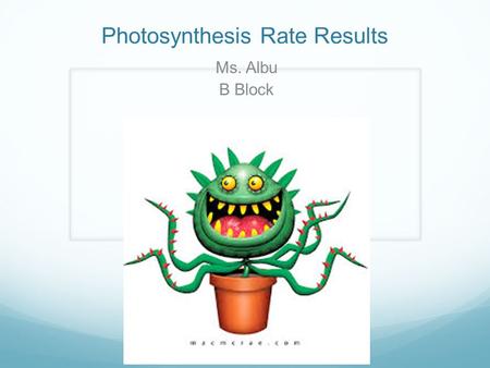 Photosynthesis Rate Results