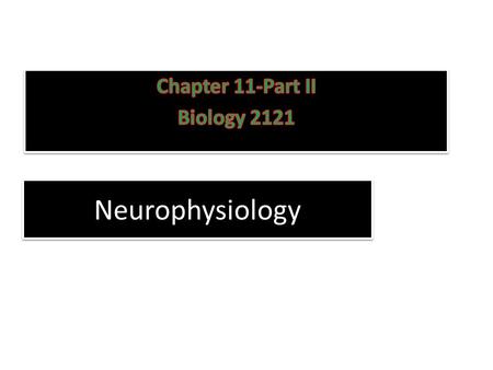Chapter 11-Part II Biology 2121