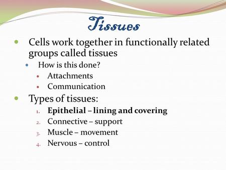 Tissues Cells work together in functionally related groups called tissues How is this done? Attachments Communication Types of tissues: 1. Epithelial –