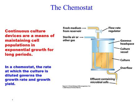 The Chemostat Continuous culture devices are a means of maintaining cell populations in exponential growth for long periods. In a chemostat, the rate at.