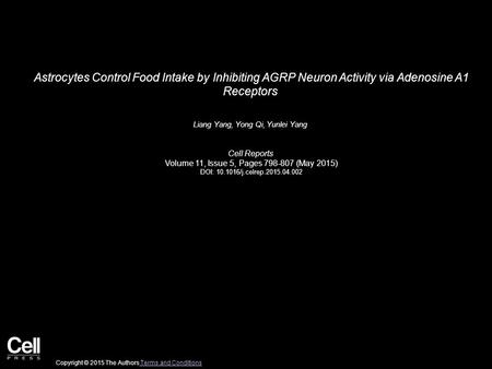 Astrocytes Control Food Intake by Inhibiting AGRP Neuron Activity via Adenosine A1 Receptors Liang Yang, Yong Qi, Yunlei Yang Cell Reports Volume 11, Issue.