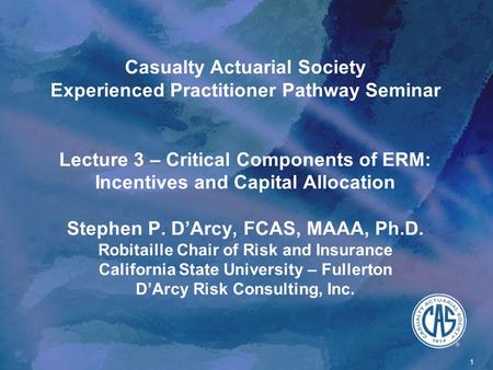 Casualty Actuarial Society Experienced Practitioner Pathway Seminar Lecture 3 – Critical Components of ERM: Incentives and Capital Allocation Stephen P.