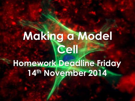 Homework Deadline Friday 14th November 2014