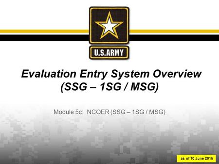 Evaluation Entry System Overview (SSG – 1SG / MSG)