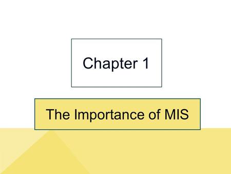 Chapter 1 The Importance of MIS.