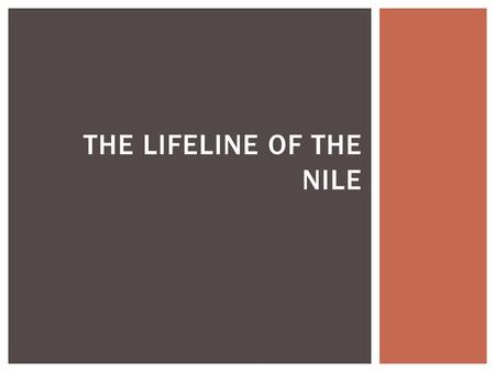 The Lifeline of the nile