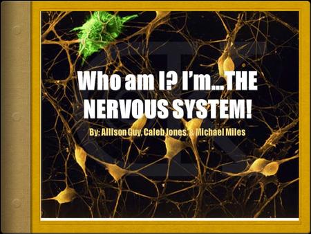 What is the Nervous System?  The Nervous System is a network of specialized cells called neurons that send messages to and from the brain.  Without.