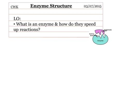 What is an enzyme & how do they speed up reactions?