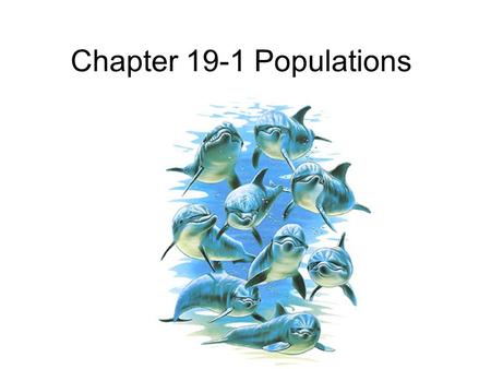 Chapter 19-1 Populations A part of a pod of dolphins.