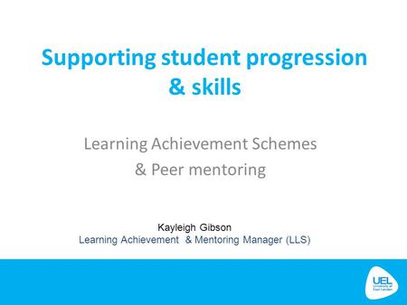 Learning Achievement Schemes & Peer mentoring