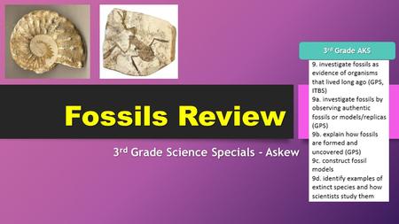 Fossils Review 3 rd Grade Science Specials - Askew 3 rd Grade AKS.