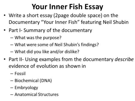 Your Inner Fish Essay Write a short essay (2page double space) on the Documentary “Your Inner Fish” featuring Neil Shubin Part I- Summary of the documentary.