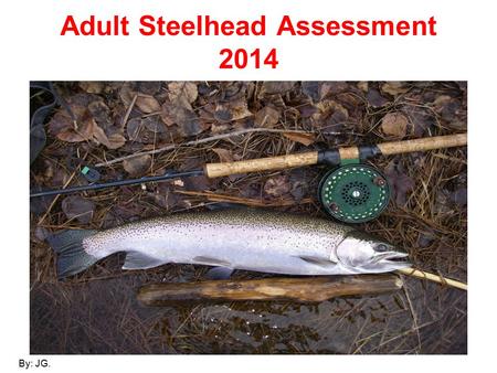 Adult Steelhead Assessment 2014 By: JG.. Co-op Angler 2014 (A partnership in science between the Ontario Ministry of Natural Resources and the North Shore.