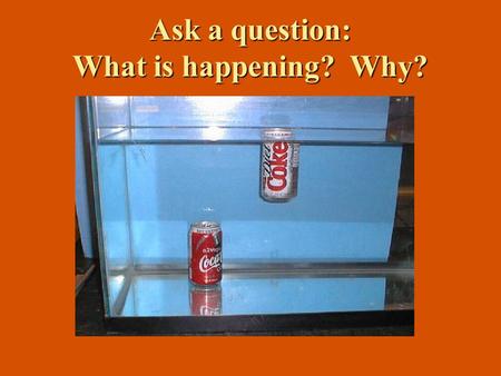 Ask a question: What is happening? Why?. Why do these float?