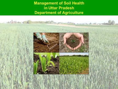 Management of Soil Health in Uttar Pradesh Department of Agriculture.