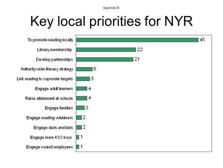 Key local priorities for NYR Appendix B. Key NYR targets identified locally Appendix C.