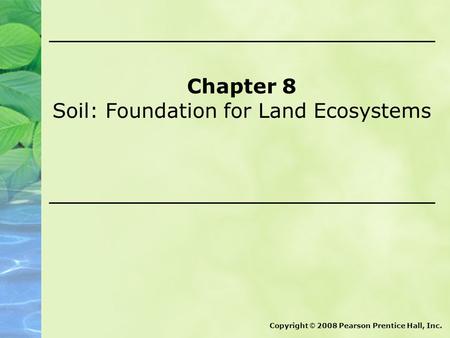Soil: Foundation for Land Ecosystems
